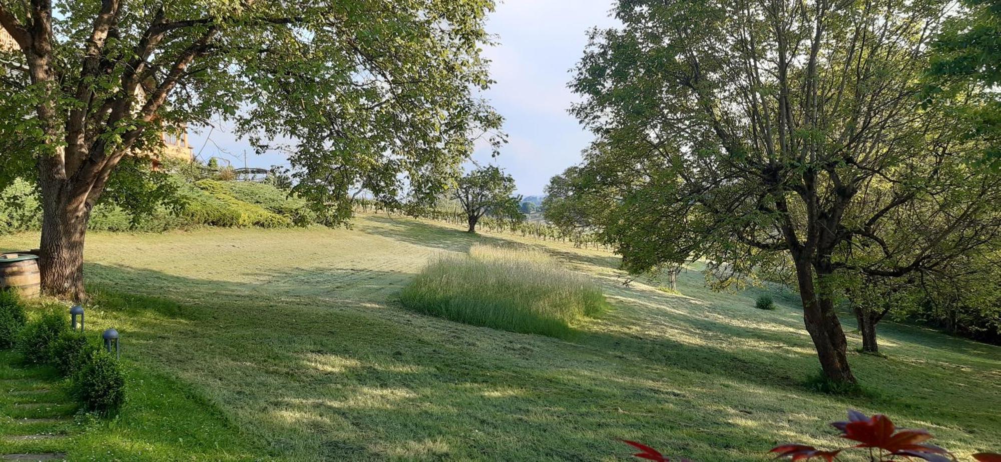 Ferienwohnungen Soravia Gamlitz Buitenkant foto